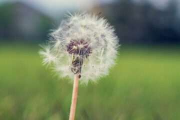 jack carter g4BVmbi5YwQ unsplash