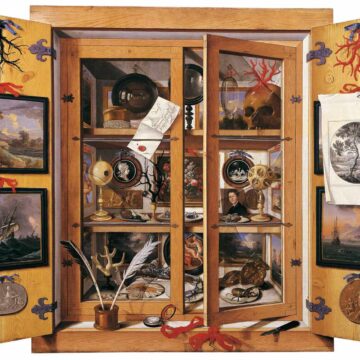 Van rariteitenkabinetten tot labubu’s: vanwaar die menselijke verzameldrang?