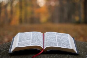 aaron burden 9zsHNt5OpqE unsplash