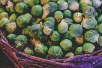 cyrus crossan 2oshkiq Tz4 unsplash