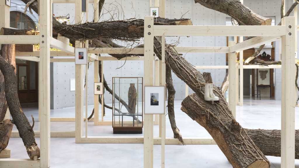 AG Vo compressed edited