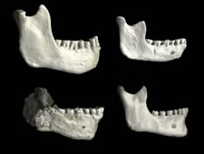 Marokko: ontdekking fossielen werpt nieuw licht op oorsprong mensheid