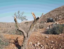 Is het 'terrorist' of 'militant'?