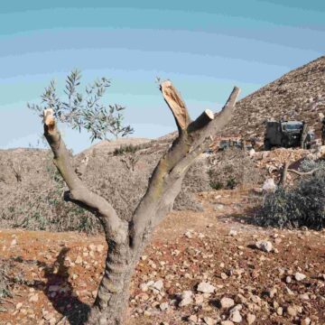 Taal als medeplichtige