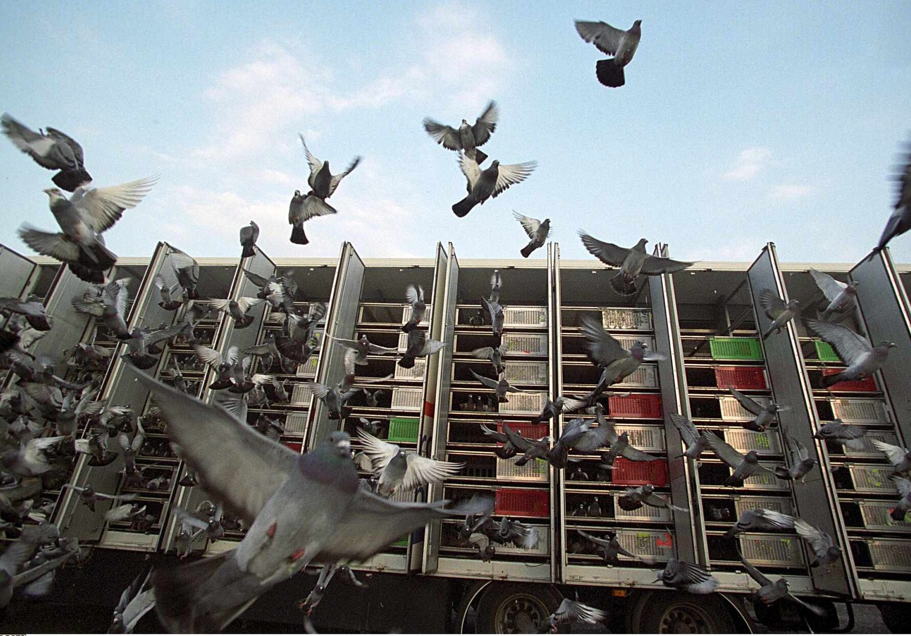 LL Duiven compressed edited