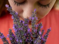 Italië: provincie en gemeente zijn op zoek naar ‘ruikexperts’