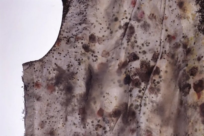 WET kleding compressed