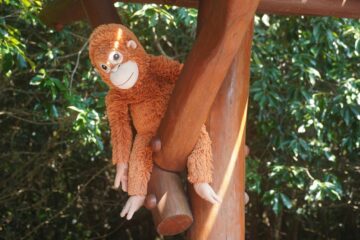 ira kang 7yNZ991B8ko unsplash