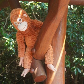 Knuffelaap in een recordtijd uitverkocht na viraal apenfilmpje