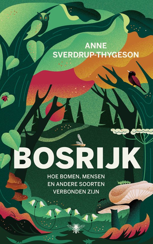 LIT Sverdrup Thygeson
