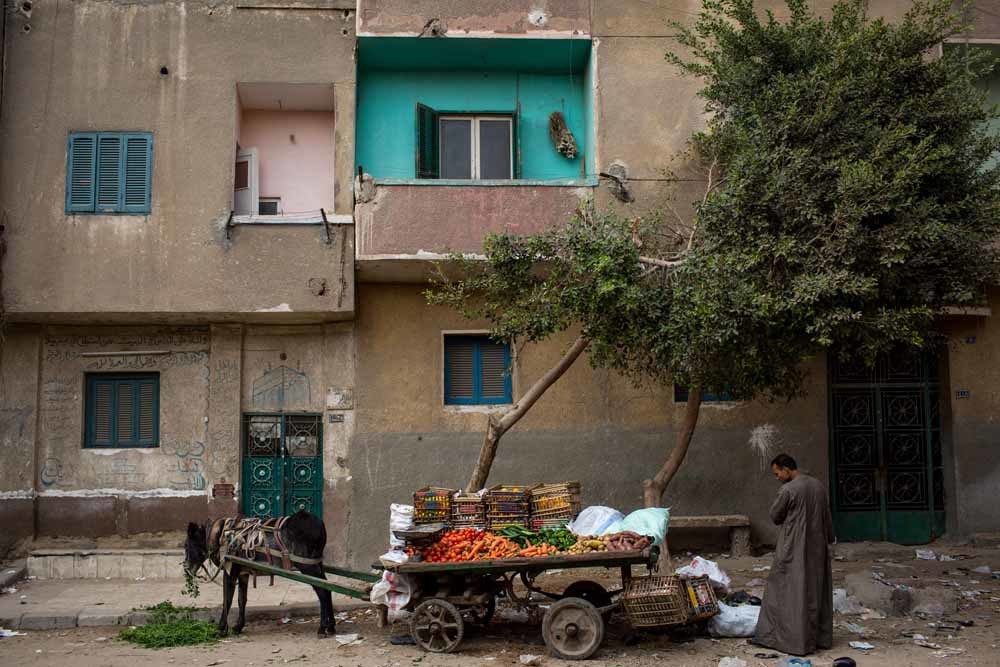 Een groenten- en fruitverkoper in de zogenoemde ‘dodenstad’ in Cairo. – © Chris McGrath / Getty