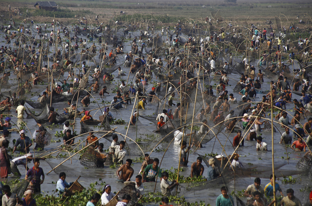 Indiase dorpelingen tijdens een gezamenlijk visfestijn ter gelegenheid van het Bhogali Bihu-festival in de regio Sonapur. – © Reuters