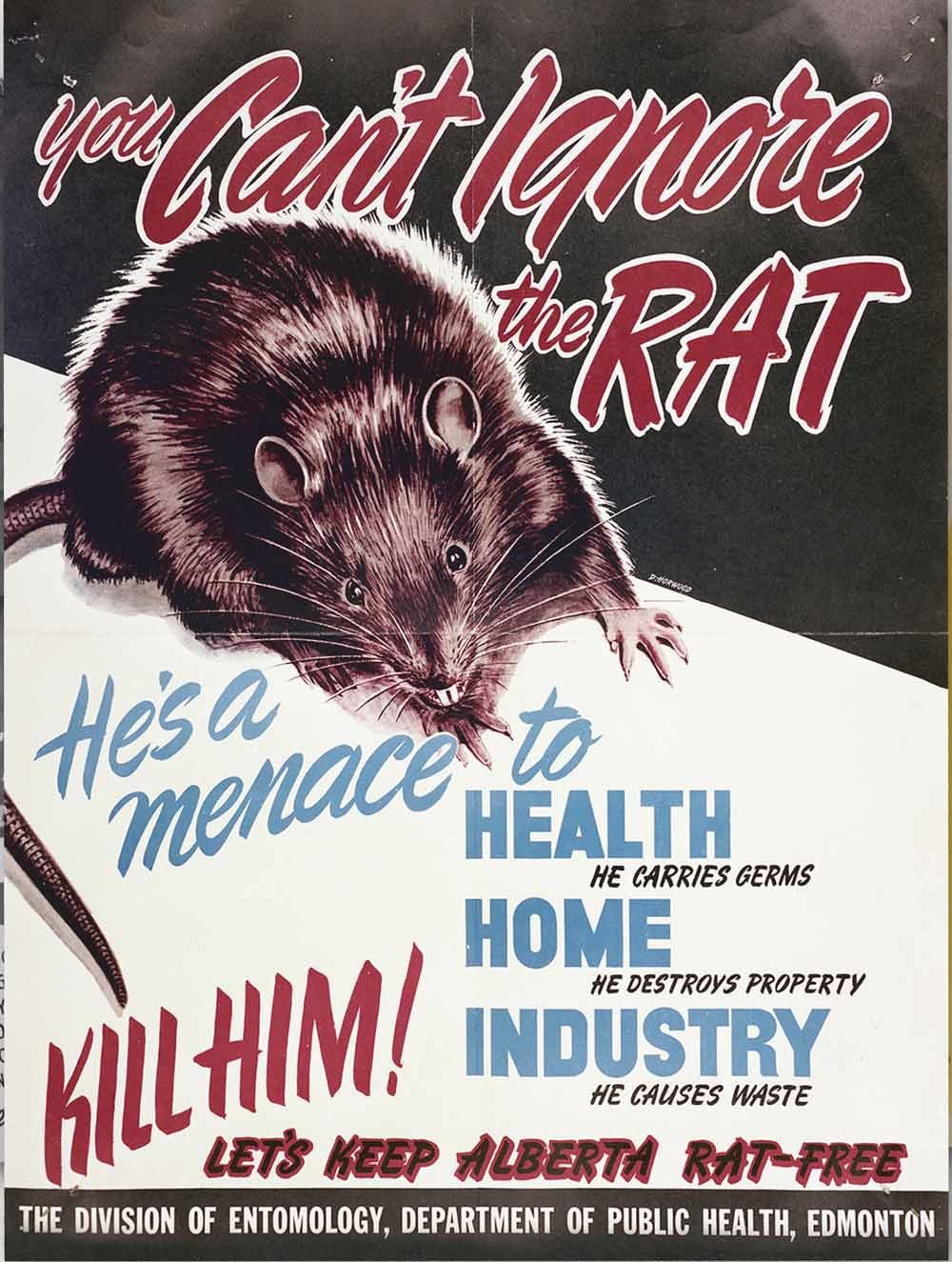 Een poster van de Alberta Department of Public Health uit 1948. Het is in Alberta verboden om een rat als huisdier te houden. © Provincial Archives of Alberta