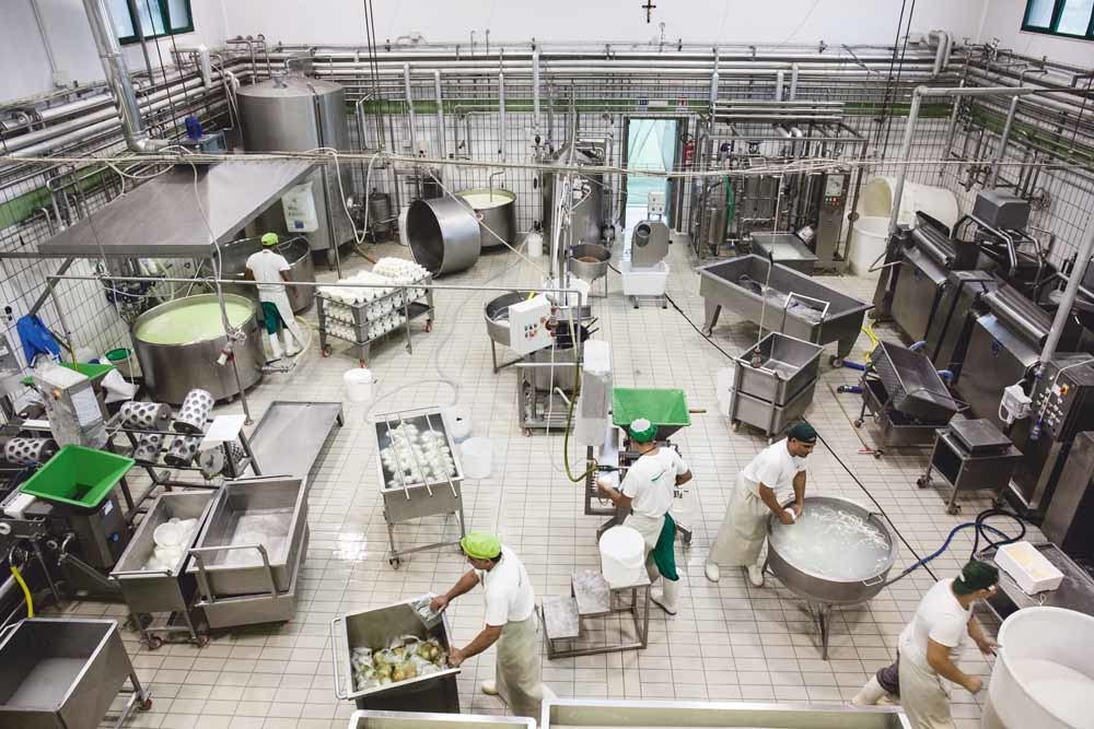 Werknemers maken authentieke mozzarella in een Napolitaanse kaasmakerij. De enige echte mozzarella wordt geproduceerd van buffelmelk en alleen in het noorden en zuiden van Napels, in Caserta en bij Salerno. © Paolo Manzo / NurPhoto